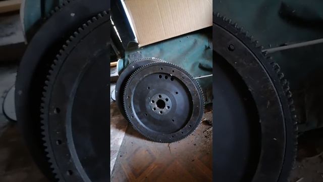 Жизнь после пересадки почки. смотреть онлайн