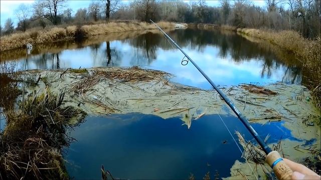 Бешеный окунь на каждом забросе.Раздача на реке Северский Донец. смотреть онлайн