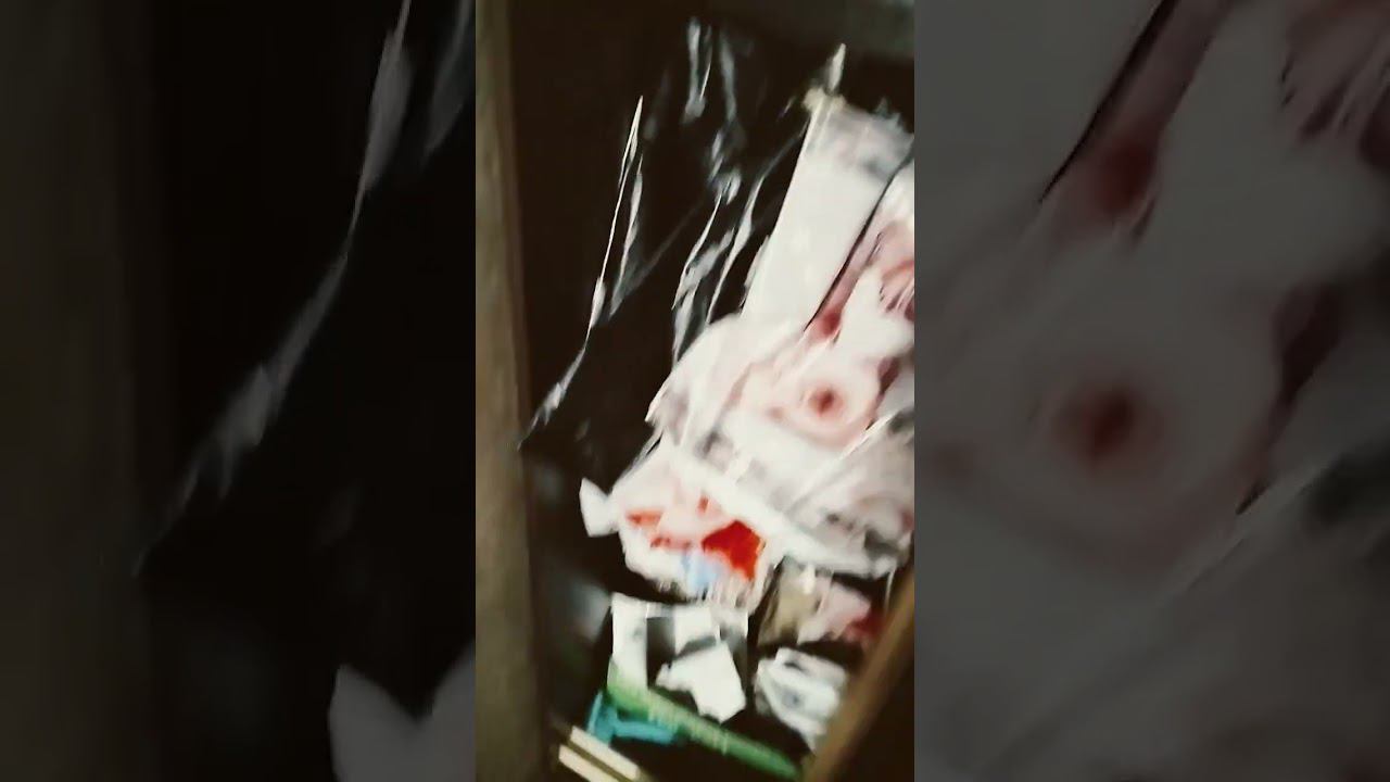 2 августа 2024 г.