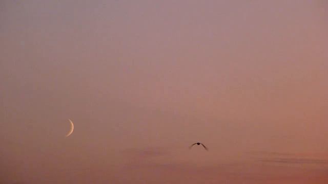 Maria Farantouri - Silleitourgo - Crescent Moon - 30-09-2011 - 3 смотреть онлайн