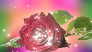 Футаж. Цветочный фон 158