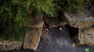 КАМНИ  СОЗДАЮТ ДИЗАЙН САДА. Сад в природном стиле.