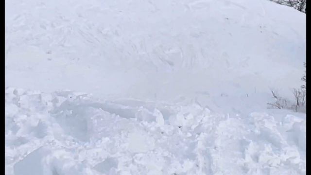 Нарезка PoLaRiS PRO RMK 800 TD смотреть онлайн