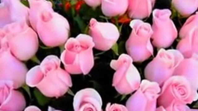 С ДНЕМ РОЖДЕНИЯ ЛЕНОЧКА ))) смотреть онлайн