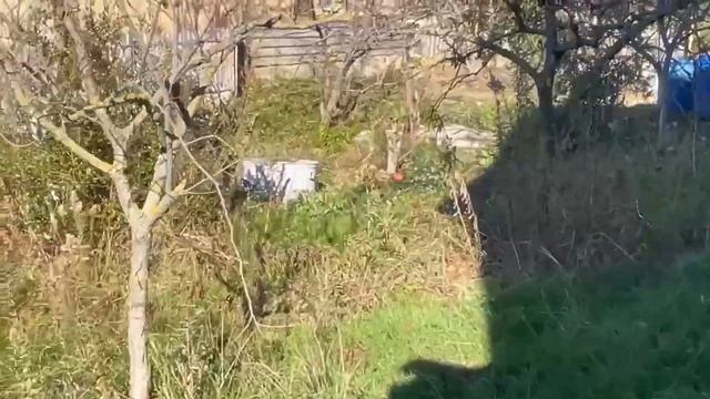 Два смежных участка с видом на море |16+|Агентство Недвижимости DOM в Сочи |45 смотреть онлайн
