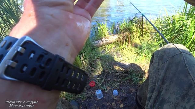 ХЕРАБУНА(HERABUNA) по РУССКИ. Ловля КАРАСЯ на ПОПЛАВОК. ПОКЛЁВКИ крупным планом. смотреть онлайн