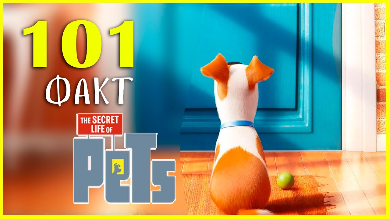 101 факт о мультфильме 