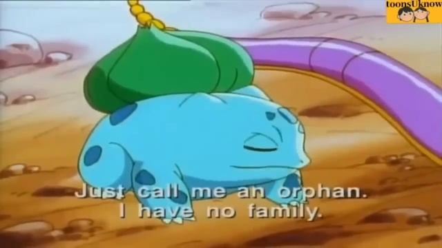 Squirtle And Bulbasaur Cute Moments