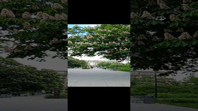 Санкт-петербург, Московский район смотреть онлайн