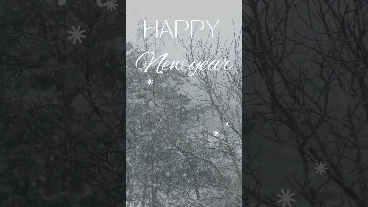 Happy New Year 2024 #happynewyear #relaxmusic #classicalmusic #sleepmusic #music #calmmusic #shorts