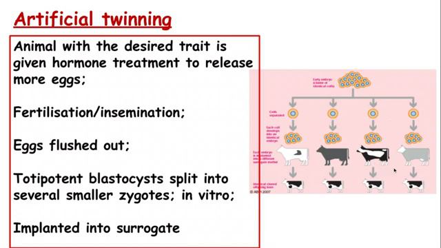 6.2.1. Cloning and biotechnology
c) Natural Clones d) Artificial clones in Animal Species смотреть онлайн