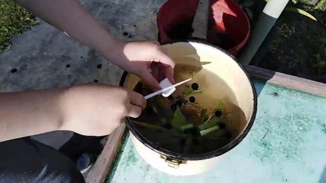 Готовим суп на даче и отдыхаем) смотреть онлайн