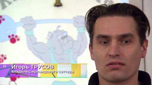 Собаки и люди: порода японский хин и полезные лакомства смотреть онлайн