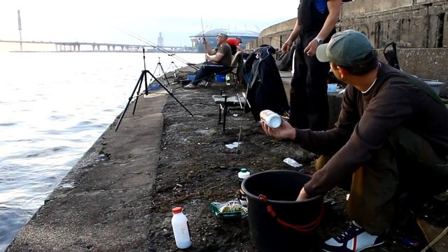 Фидер. Ловля леща 11.09.2016 Санкт-Петербург, Петровская коса. смотреть онлайн