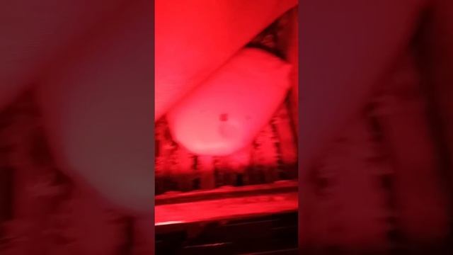 28.02.2020.зимовка продолжается альпийский улей или удав Южный Урал.мфу улья.лежак.рут. смотреть онлайн