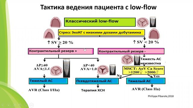 ГиП занятие 6 - болезни аортального клапана