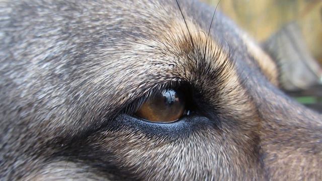 ПРОМО РОЛИК CUCKOO.PRO || видео-ролик место, гдг делают рекламу смотреть онлайн