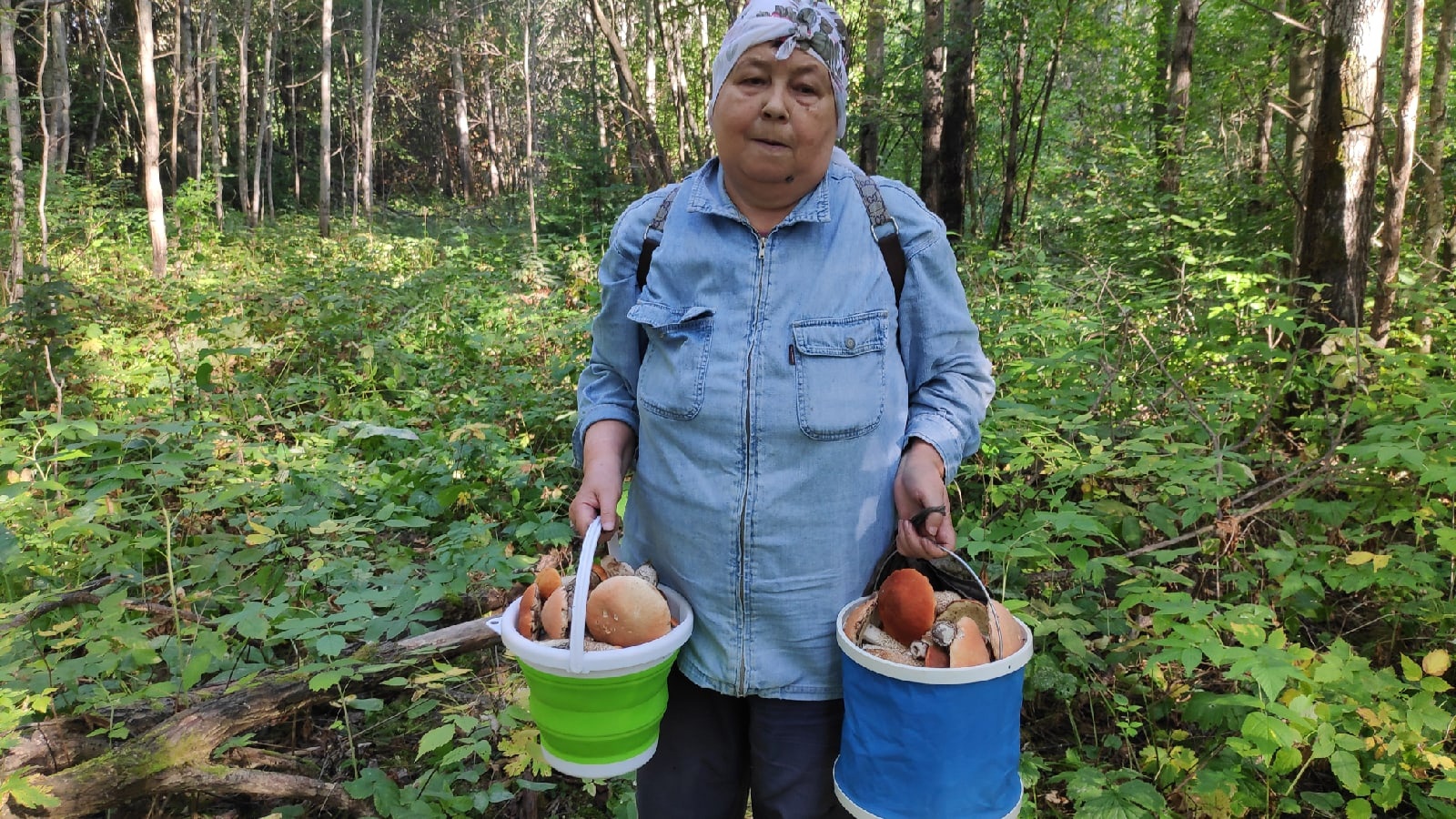 Супер грибочки! 23 авг 2022. 4часть. смотреть онлайн