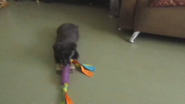 Девочка ищет дом смотреть онлайн