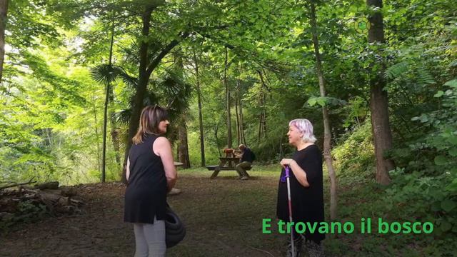 Tramonto Nella Lavanda E Nell'Arboreto - Sale - 2017