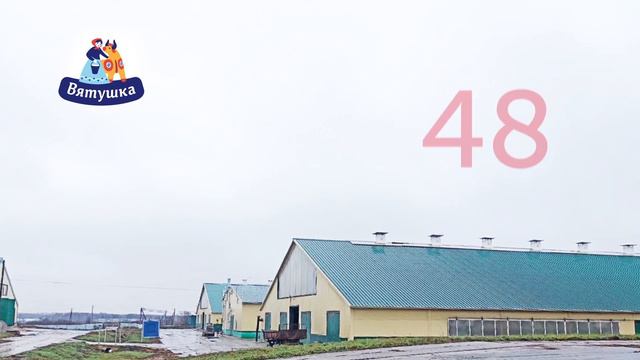 Вятушка. Честная чистота смотреть онлайн