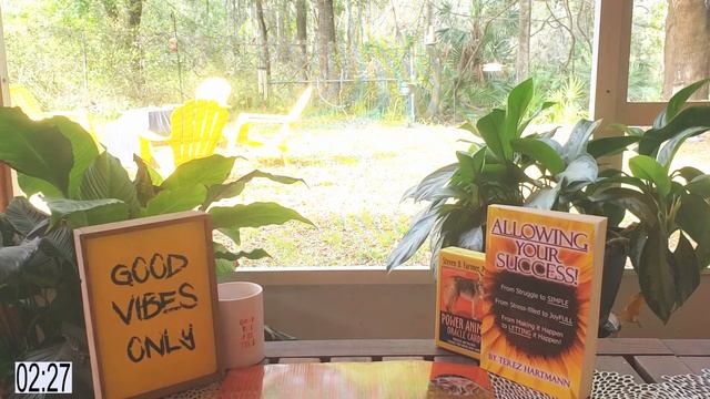 Allowing Success With PRODUCTIVE Action - "Good Vibe In Five"(TM) Series: Ep163 смотреть онлайн