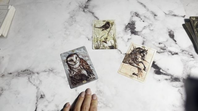 что принесет событие/ситуация? один вариант