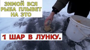 УДИВИЛИ МЕСТНЫХ РЫБАКОВ. 1 Шар и рыба у Лунки. Лучшая зимняя прикормка на Леща. Зимняя рыбалка 2023