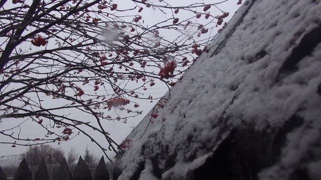 Первый снег. Стихи. Лев&Мария смотреть онлайн