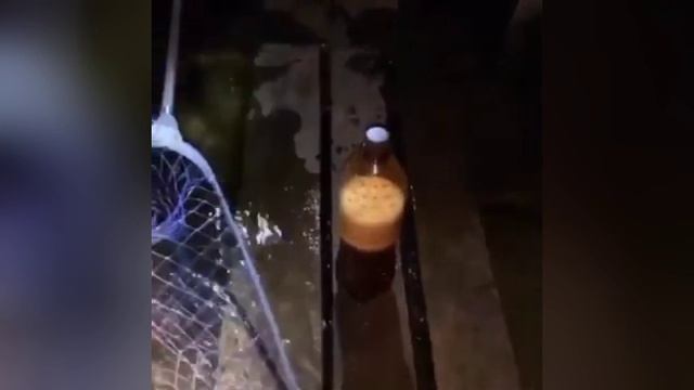 мы лодку утопили колян смотреть онлайн