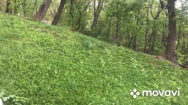 Киев, царство медуз, фуникулер, мост Кличко и другие, Национальный ботанический сад им. М. М. Гришк смотреть онлайн