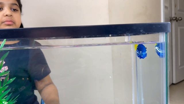 ROBO FISH | Robo fish unboxing & Review | Zuru Robot Alive Fish | Harini fishing in A REAL AQUARIUM смотреть онлайн