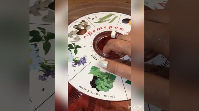 Арбузные чипсы, сушим арбуз смотреть онлайн
