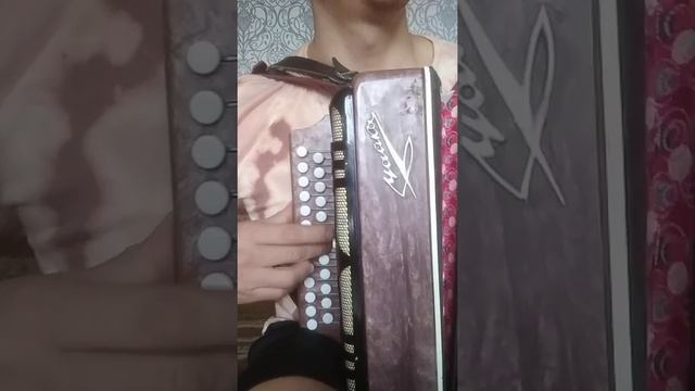 Ты пчела я пчеловод , на гармони))) смотреть онлайн