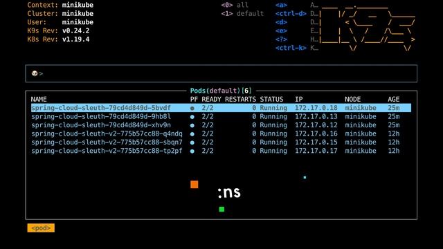 K9s Usage And Features Walkthrough | Popeye Sanitizer | Productivity | Kubernetes Primer