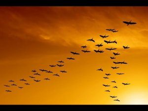 СЕРГЕЙ ЕСЕНИН "Я УСТАЛЫМ ТАКИМ ЕЩЕ НЕ БЫЛ..."