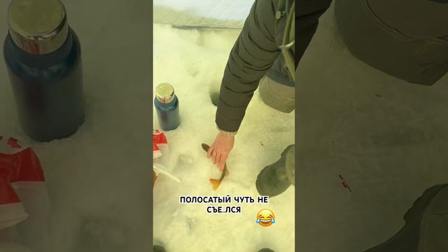 ОКУНЬ ЧУТЬ НЕ УБЕЖАЛ😄 смотреть онлайн