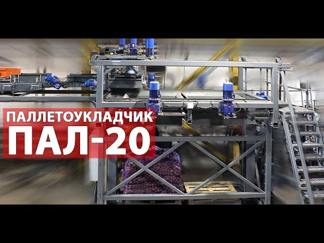 Паллетирование овощей (видео) смотреть онлайн