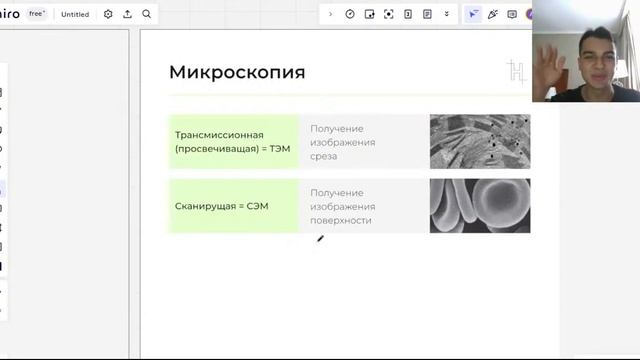 ТЫ ТОЧНО ВСТРЕТИШЬ ЭТО НА ЕГЭ ПО БИОЛОГИИ | МЕТОДЫ ЦИТОЛОГИИ | НОО смотреть онлайн