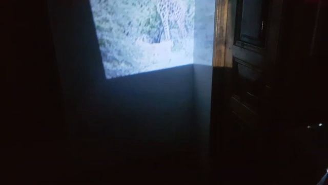 Mini Proyektor - Kid's Story Proyector