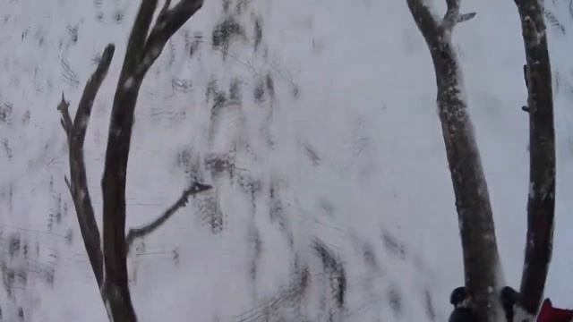 Пилю дрова садовой пилой. смотреть онлайн