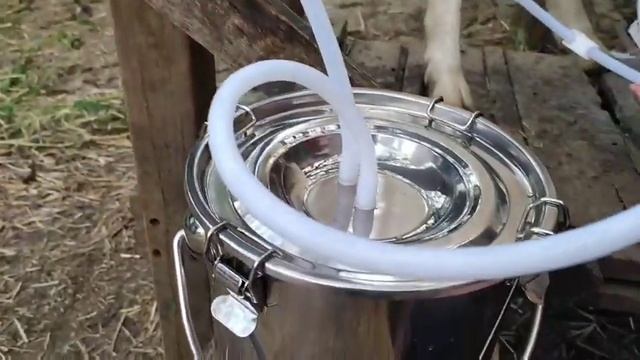 Доїльний апарат для кіз із запобіжником від потрапляння молока в компресор смотреть онлайн