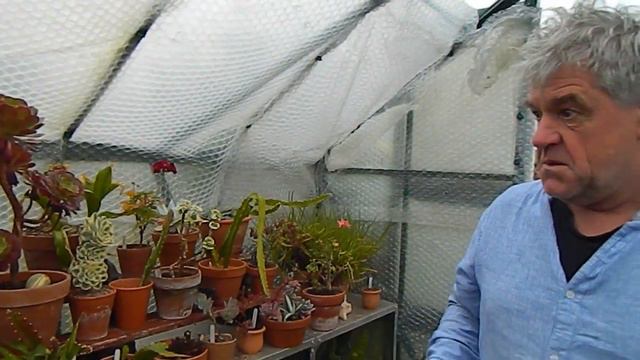 Greenhouse in August смотреть онлайн