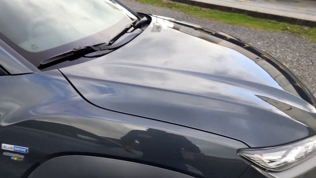 Proprietari di auto elettriche: incontro fra proprietari Hyundai Kona Electric 64kWh смотреть онлайн