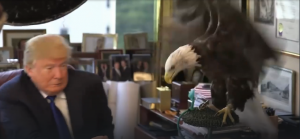 ТОП-25 НЕОБЫЧНЫХ МОМЕНТОВ С ЖИВОТНЫМИ