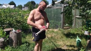 Делаю опору для куста смородины