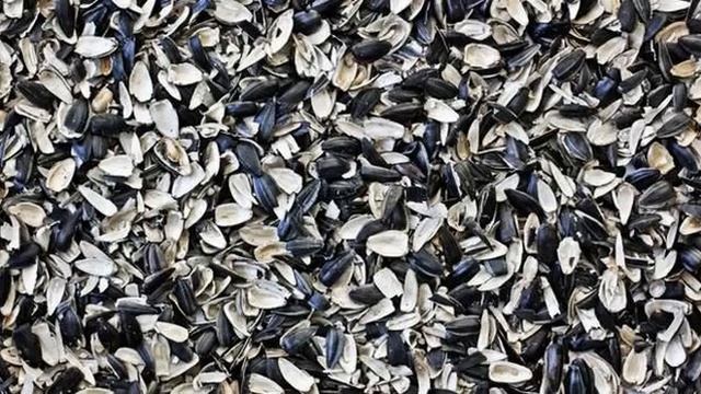 Шелуха семечек подсолнечника как удобрение для огорода смотреть онлайн