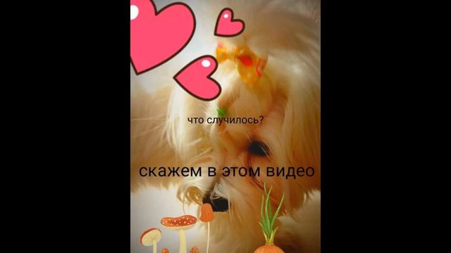 Аня не даёт спать!!!! Поёт смотреть онлайн