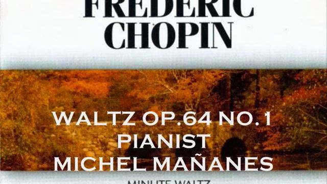 CHOPIN Minute Waltz op 64 no 1 in D flat major - Pianist Michel Mananes смотреть онлайн