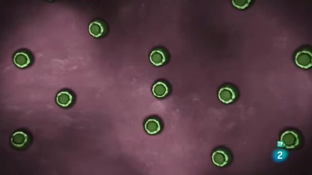 Estudiando el cerebro en el Instituto Tecnológico de Massachusetts (MIT) смотреть онлайн